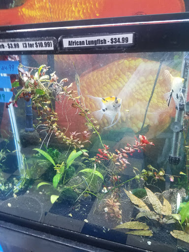 Pet Supply Store «Pets Plus - Bensalem», reviews and photos, 1336 Bristol Pike, Bensalem, PA 19020, USA