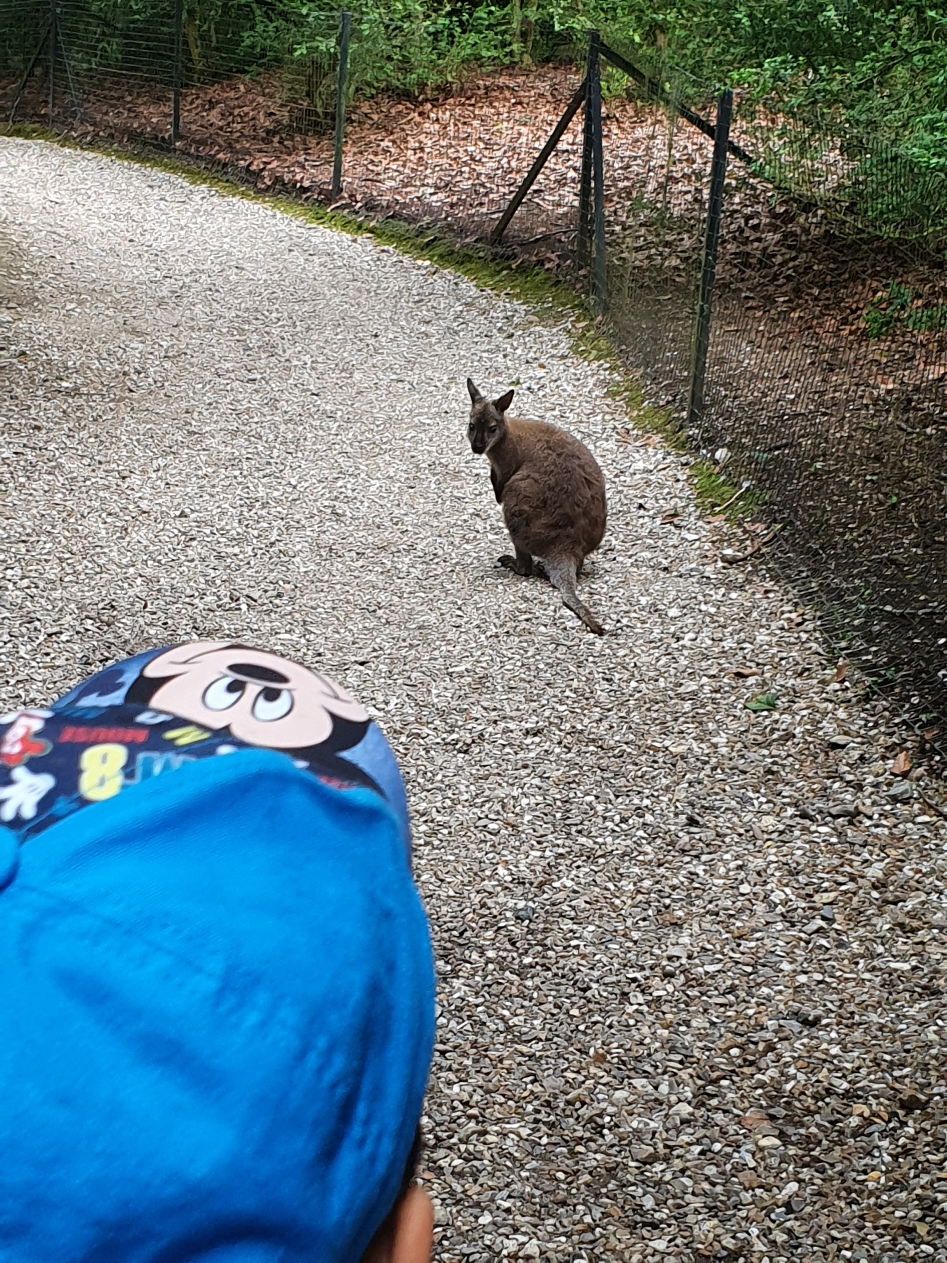 Photo n° 14 de l'avis de VIRGINIE.A fait le 10/06/2022 à 13:51