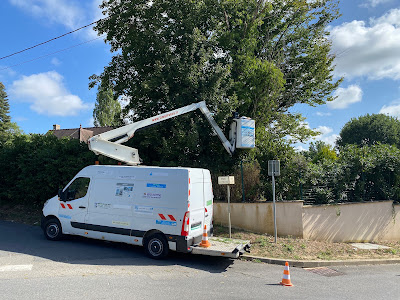 Service d’élagage à Chalifert