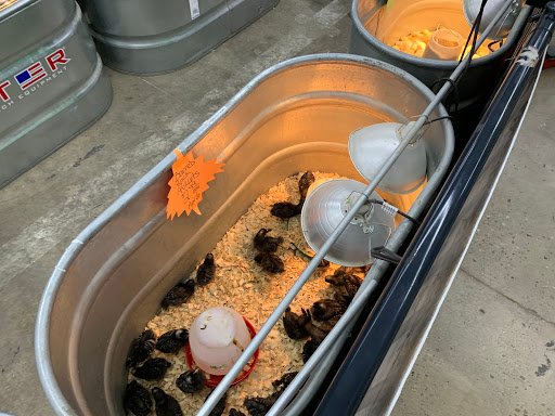 Department Store «Rural King», reviews and photos, 4265 Mall Dr, Steubenville, OH 43952, USA