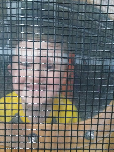 Playground «Eagles Nest Indoor Playground», reviews and photos, 400 10th St NW, New Brighton, MN 55112, USA