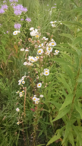 Park «New Haven Park», reviews and photos, New Haven Ave, Aurora, IL 60506, USA