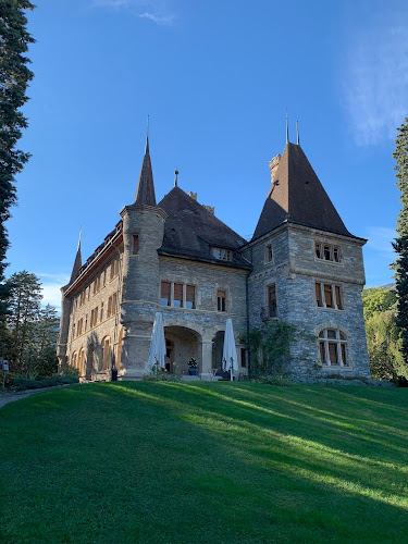 Rezensionen über Château Mercier in Sitten - Museum