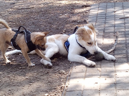 Park «Olmos Basin», reviews and photos, 651 Devine Rd, San Antonio, TX 78209, USA