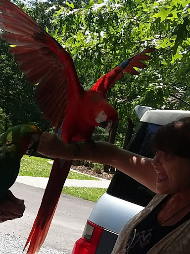 Park «Sherando Park», reviews and photos, 255 Lakeview Cir, Stephens City, VA 22655, USA