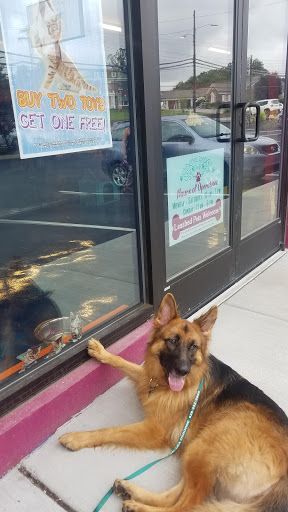 Pet Supply Store «Patton Avenue Pet Company- West», reviews and photos, 1388 Patton Ave, Asheville, NC 28806, USA