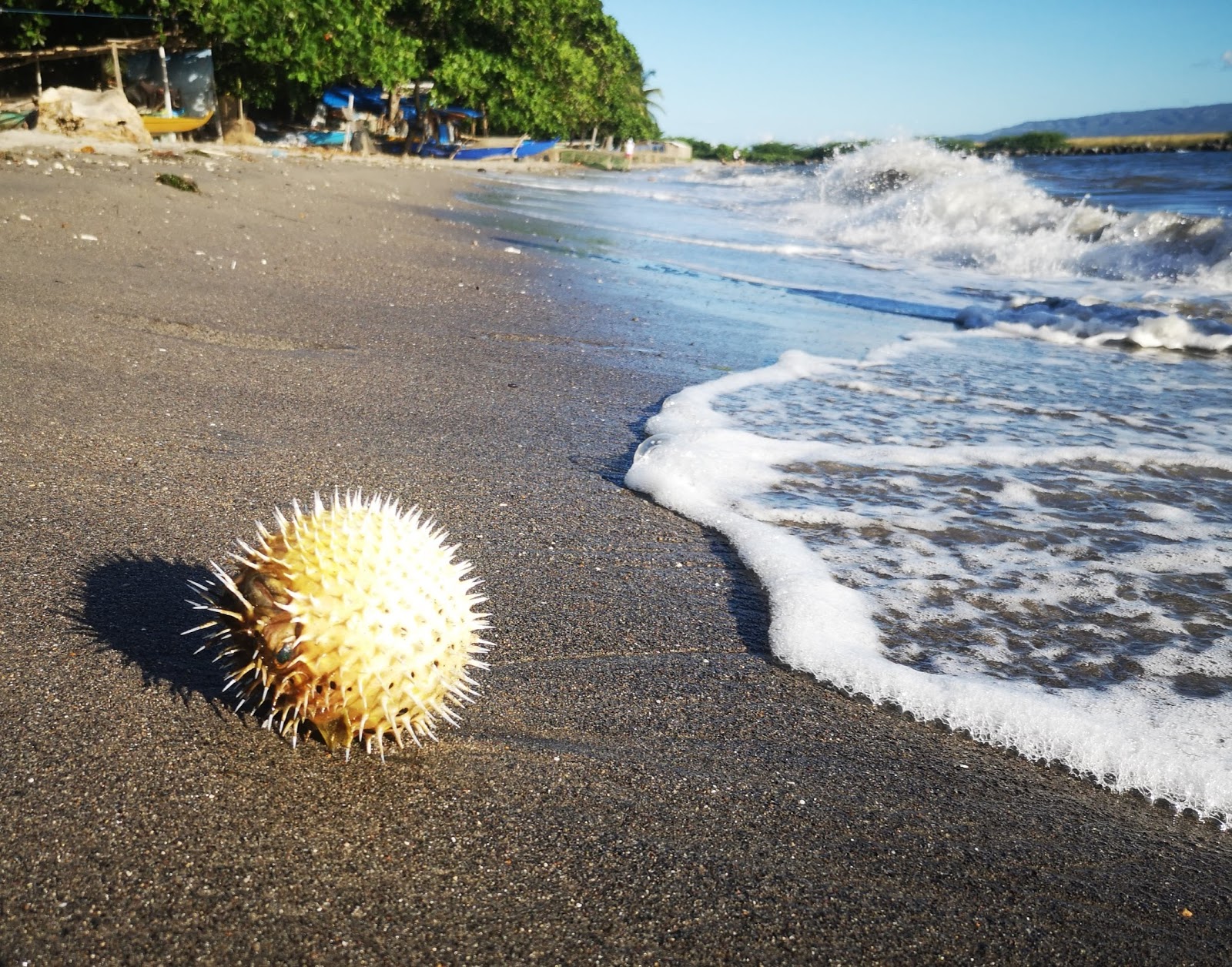 Fotografie cu Silliman Beach cu nivelul de curățenie destul de curat