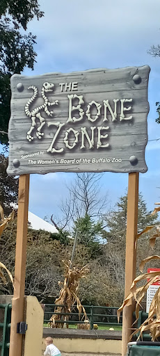 Park «Delaware Park», reviews and photos, Meadow Dr, Buffalo, NY 14214, USA