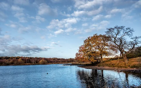 Sutton Park Banners Gate image