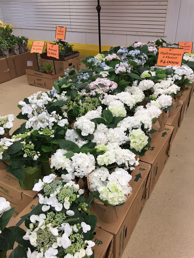 Produce Market «Produce Junction Inc», reviews and photos, 265 S Easton Rd, Glenside, PA 19038, USA