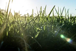 Beacon Country Park image