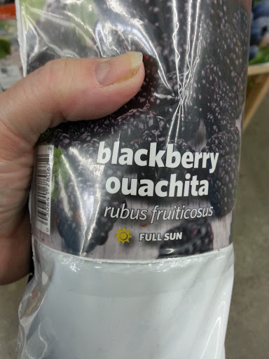 Department Store «Walmart Supercenter», reviews and photos, 1618 W McClain Ave, Scottsburg, IN 47170, USA