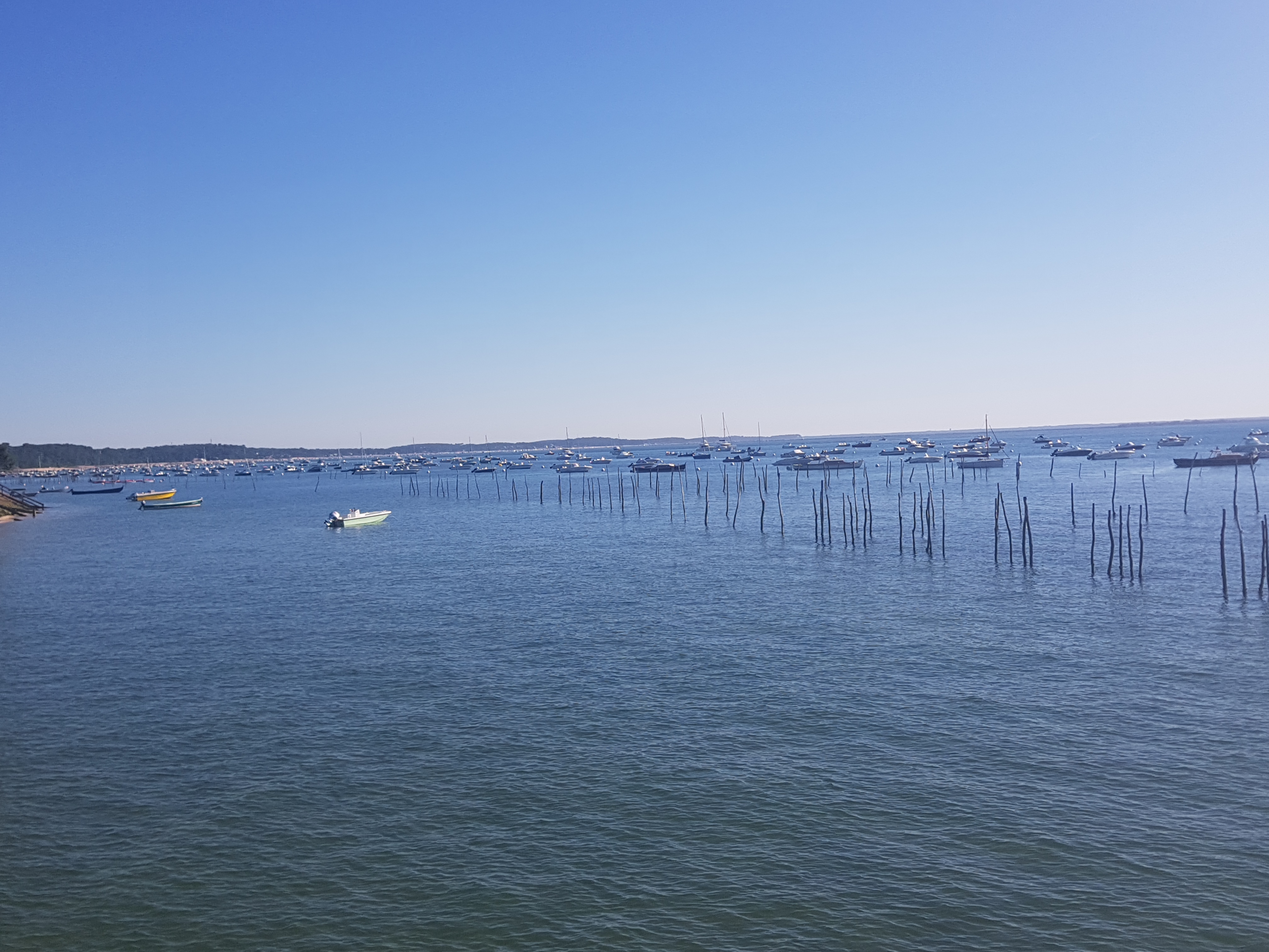 Photo n° 5 de l'avis de thonyzz. fait le 29/07/2019 à 21:28