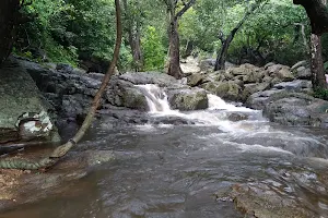 Dharamattam Waterfalls image