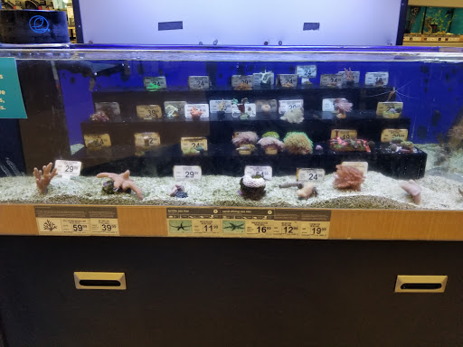 Pet Supply Store «Petco Animal Supplies», reviews and photos, 4161 N Harlem Ave, Norridge, IL 60706, USA