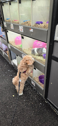 Pet Supplies Plus Coconut Creek - Photo 4 - Car repair in Coconut Creek, FL, Fort Lauderdale