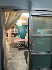 Pretty Kitty Esthetics - Photo 3 - Car repair in Lakewood, CO, Lakewood