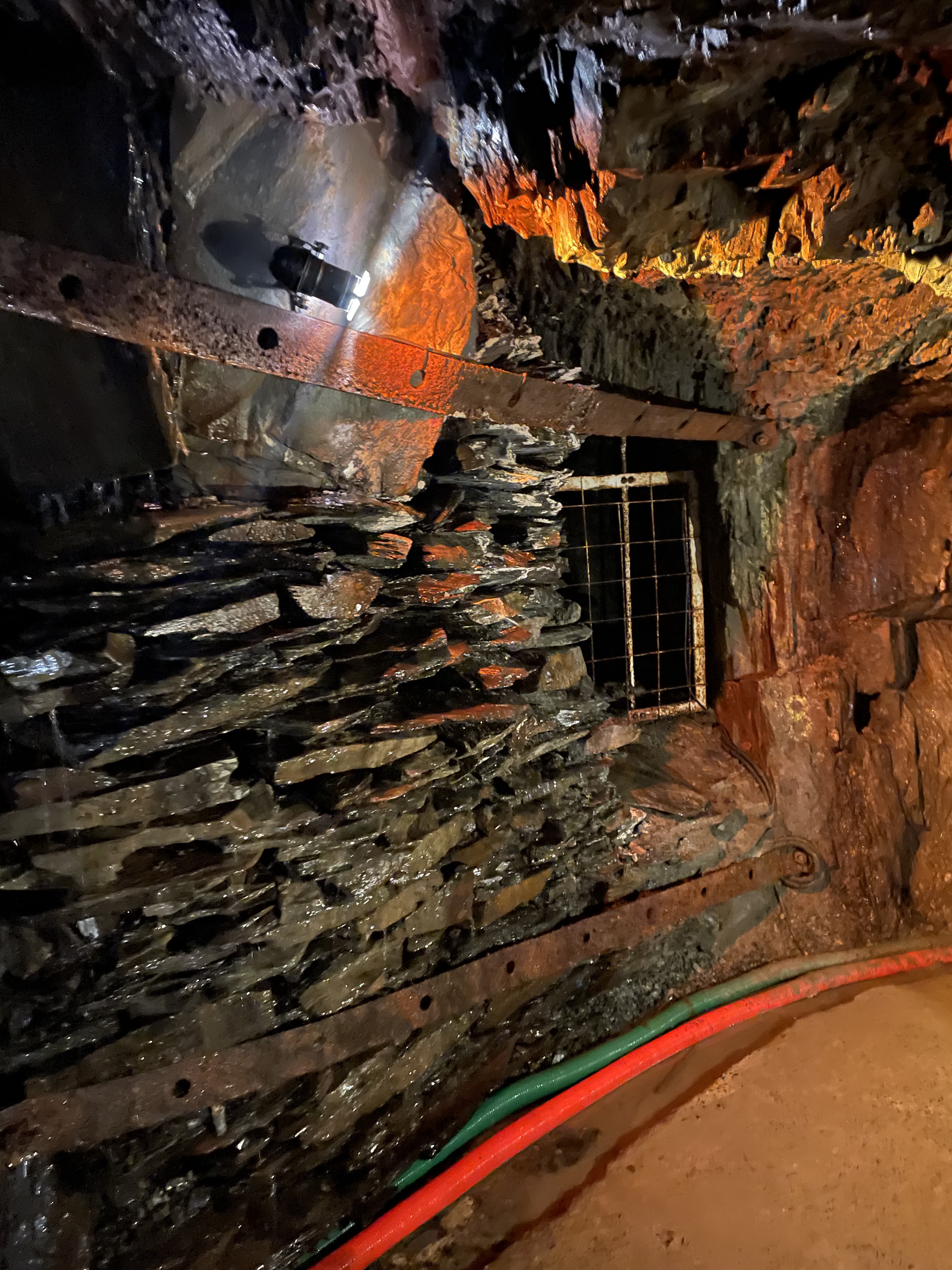 Photo n° 2 de l'avis de mc.y fait le 21/08/2023 à 07:52