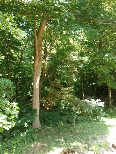 Museum «Audubon Museum & Nature Center», reviews and photos, 3100 US-41, Henderson, KY 42420, USA