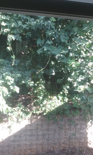 Auto Parts Store «Givens Used Auto Parts», reviews and photos, 285 Rock House Rd SE, Lawrenceville, GA 30045, USA