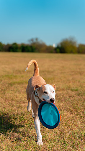 Park «Tom Slick Park / Dog Park», reviews and photos, 7400 Texas 151 Access Rd, San Antonio, TX 78227, USA