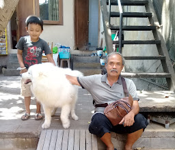 Teras Ayung C40 photo