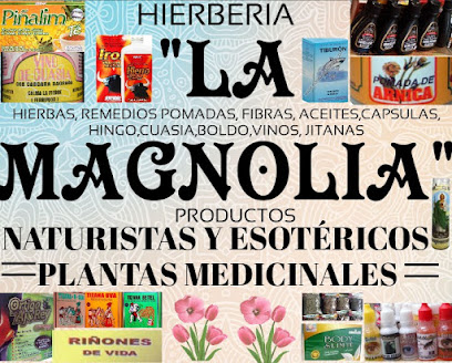 Hierberia La Magnolia ,Ometepec Gro ,Mercado Mpl