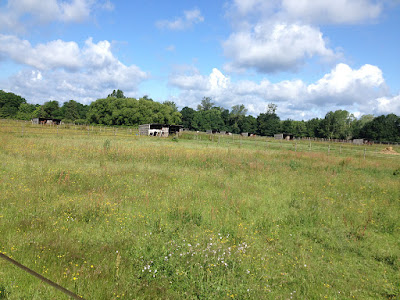 Domaine des A - Anais Berthier à Bréhémont