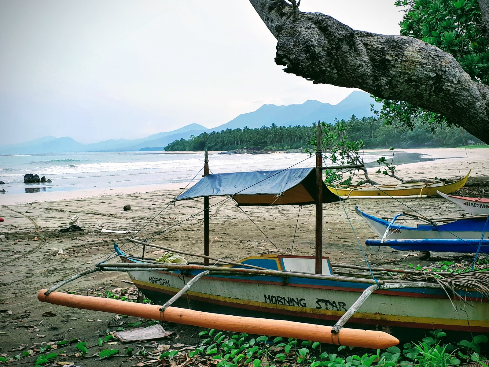 Φωτογραφία του Napsan Beach II ubicado en área natural