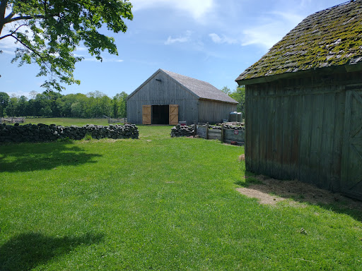 Museum «Coggeshall Farm Museum», reviews and photos, 1 Colt Dr, Bristol, RI 02809, USA