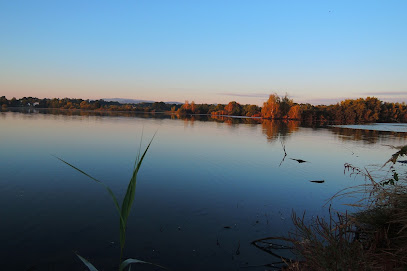 Starohaklovský rybník