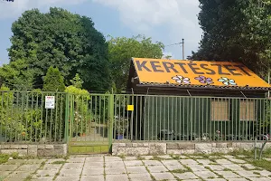 Vízöntők Kertészet image