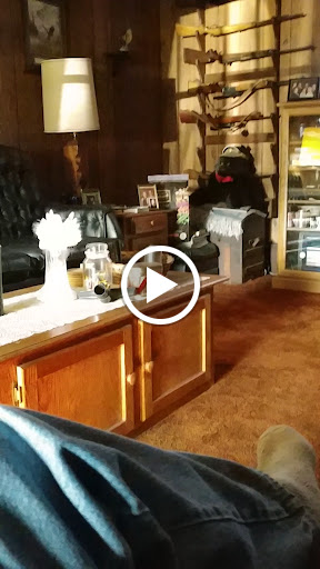 Casino «Hollywood Casino at Charles Town Races», reviews and photos, 580 E 5th Ave, Ranson, WV 25438, USA