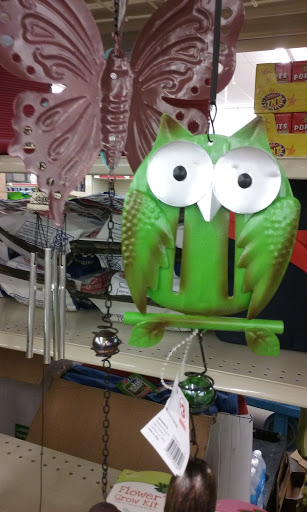 Dollar Store «FAMILY DOLLAR», reviews and photos, 93 Woolsey Rd, Hampton, GA 30228, USA