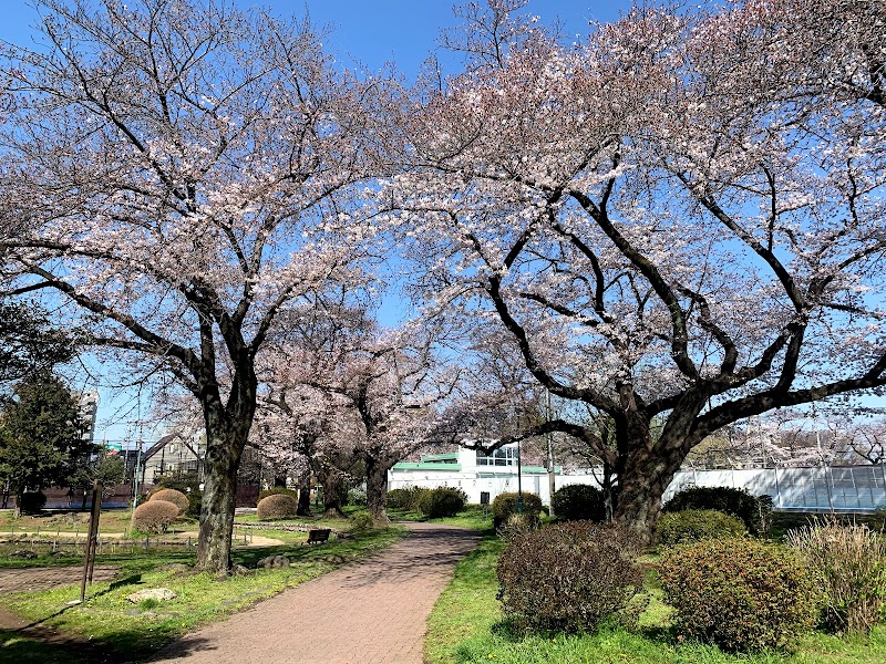 寿中央公園