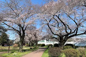Kotobuki Central Park image
