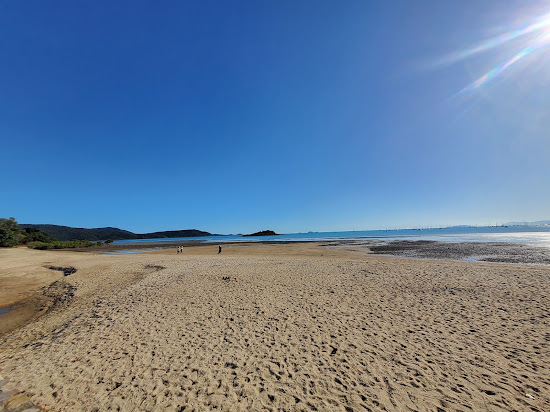 Cannonvale Beach