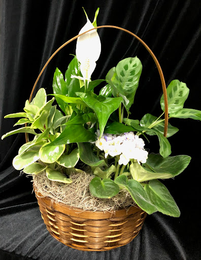 Florist «Skyway Creations», reviews and photos, 1407 S 8th St, Colorado Springs, CO 80905, USA