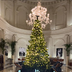 Photo n°1 de l'avis de Matthew.c fait le 26/11/2023 à 14:14 sur le  Anantara Palazzo Naiadi Rome Hotel à Rome