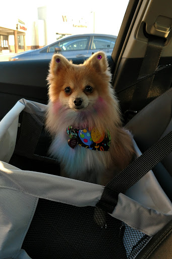 Pet Supply Store «PetSmart», reviews and photos, 2028 Miamisburg Centerville Rd, Dayton, OH 45459, USA