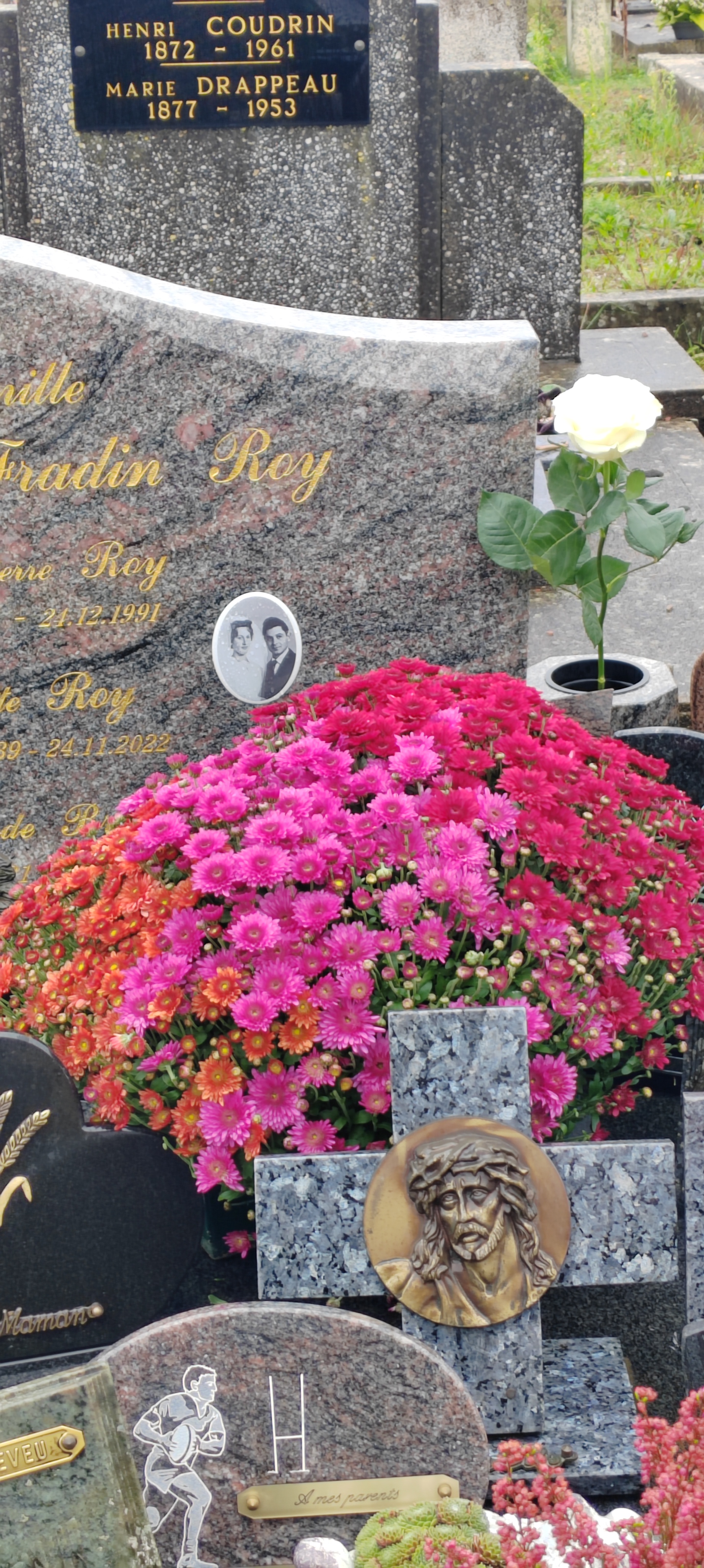 Photo n° 2 de l'avis de Roy.a fait le 06/06/2019 à 10:43
