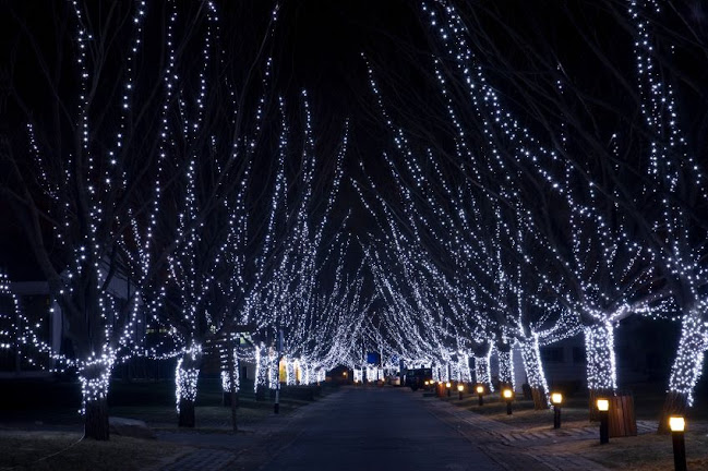 Firminos - Surpresa Sensacional Pirotecnia e Iluminações Festivas - Vale de Cambra