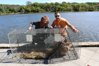 Suburban Wildlife Control - Photo 3 - Car repair in , Aurora