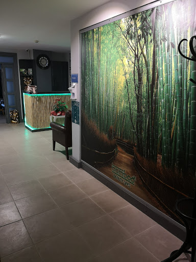 Bamboo Beauty Lıfes