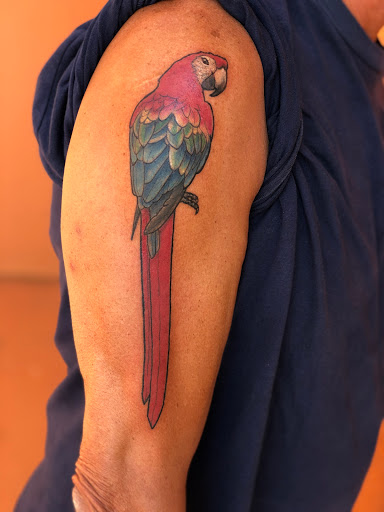 Tattoo Shop «Paradise Tattoo», reviews and photos, 2801 Estero Blvd, Fort Myers Beach, FL 33931, USA