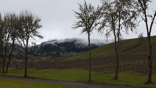 Winery «Maysara Winery», reviews and photos, 15765 Southwest Muddy Valley Road, McMinnville, OR 97128, USA