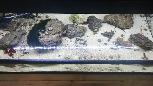 Pet Store «Pet Land», reviews and photos, 1450 Fort Campbell Blvd, Clarksville, TN 37042, USA