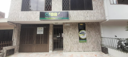 CEBRAS - Centro de Estudios Brasileros