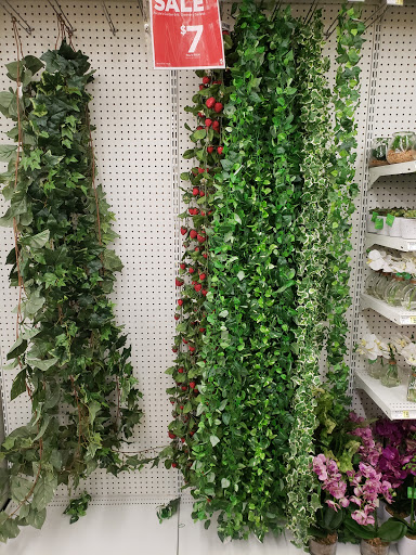 Craft Store «A.C. Moore Arts and Crafts», reviews and photos, 9515 Crosshill Blvd #109, Jacksonville, FL 32222, USA