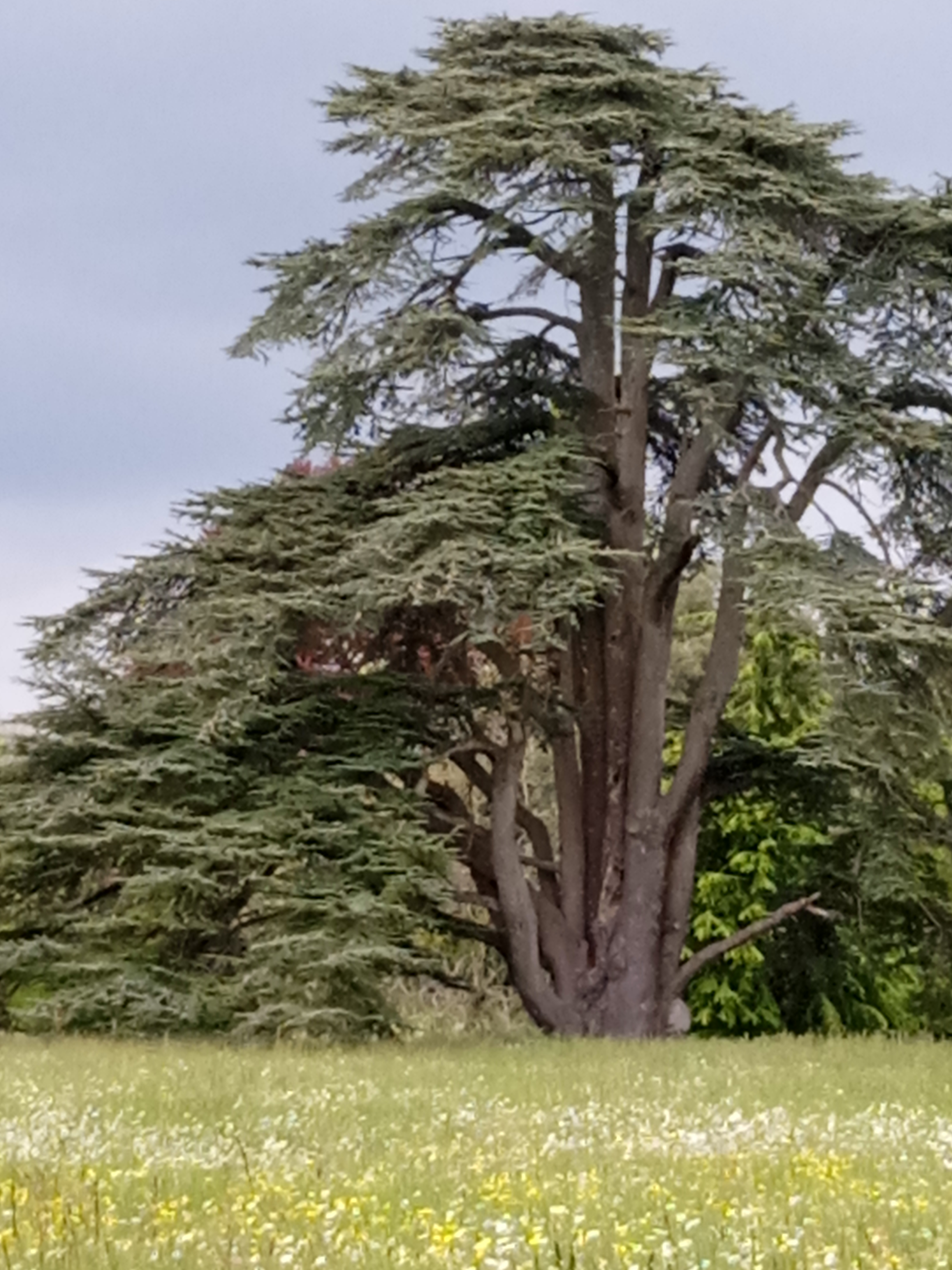 Photo n° 2 de l'avis de Proust.a fait le 30/04/2023 à 16:57